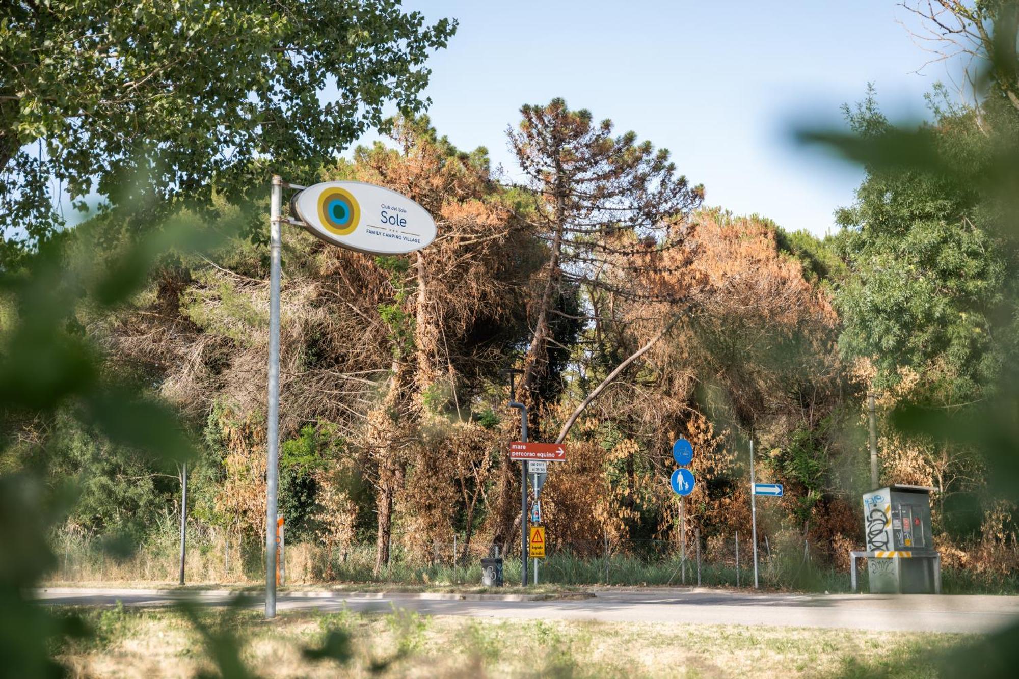 Club Del Sole Marina Romea Easy Camping Village Buitenkant foto